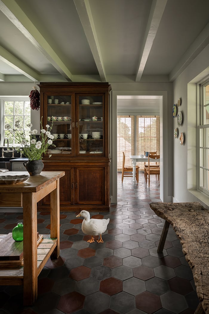 a kitchen with hutch, worktable, and bench and a pet duck waddling about.