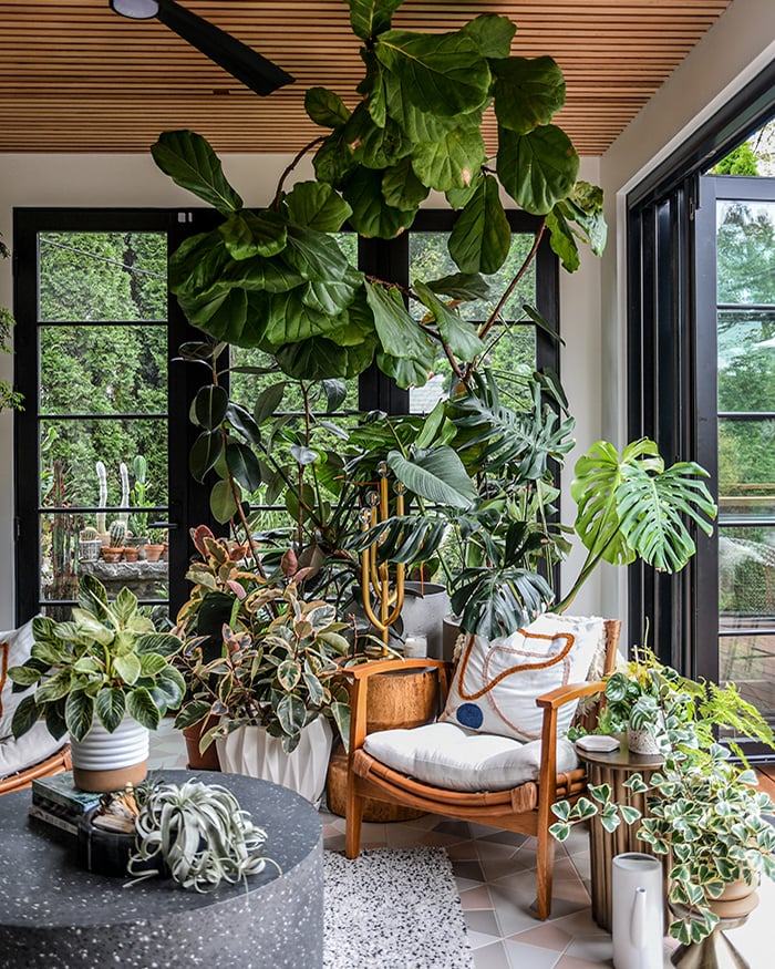 sunny remodeled room, which features floor-to-ceiling glass that allows the potted plants to thrive.