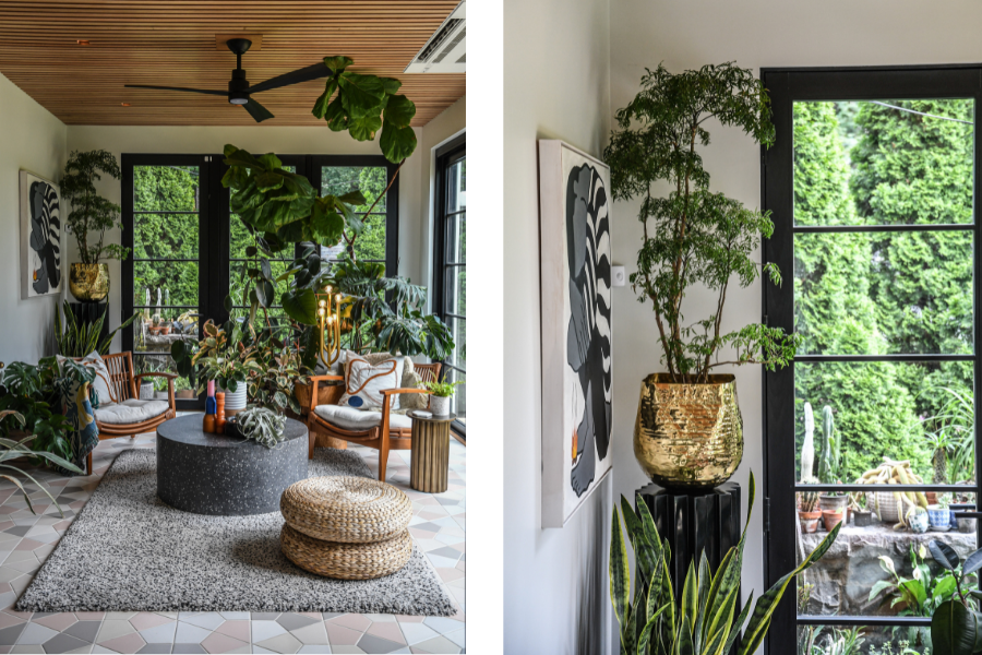 Left: Hilton Carter’s light-flooded renovated sunroom provides the perfect environment for his potted plants Right: A potted plant thrives in the light coming through a glass door in Hilton Carter’s sunroom